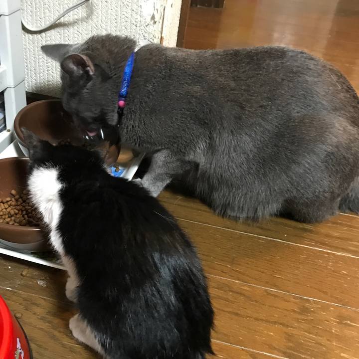 918cf0a5 a6c0 4d4d 9f61 5abd9638e154