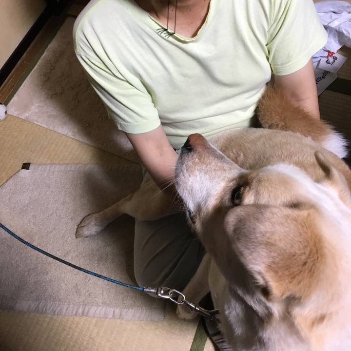 918d3b6d 0aec 423d 84c3 c71be6d1b8aa