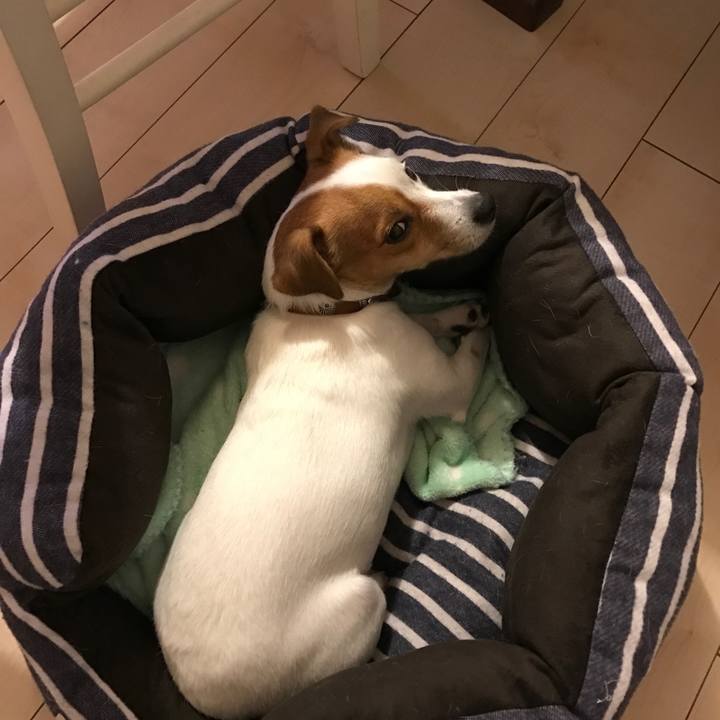 918de4b9 4c50 4c0a 9d3c fd044cb0117c