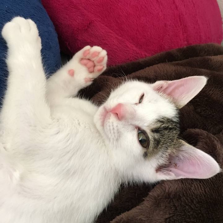 918e3f75 b6a3 4f8e b268 d10cb5e1cd15