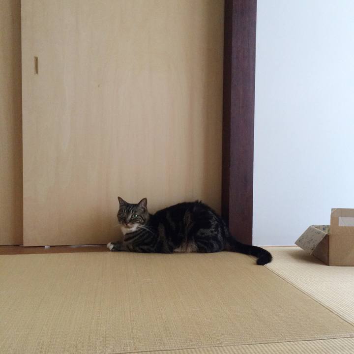 918ea661 6687 435b 8e55 6a759d5a9f29