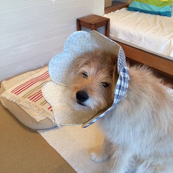 918eca18 53b9 4256 a7ac 87ff973ac785