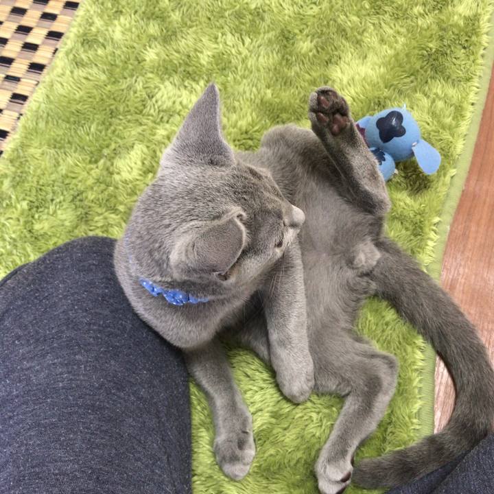 918f6f6c 9fb5 4417 8682 2e4506575151