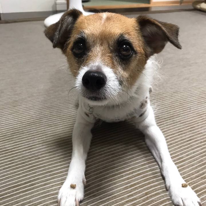 918faa48 871a 47a4 a75e 3dc9f9f7eae3