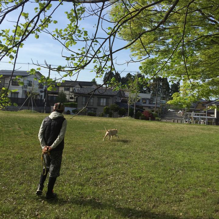 918facf4 d5b9 4b28 8837 4e8076146362