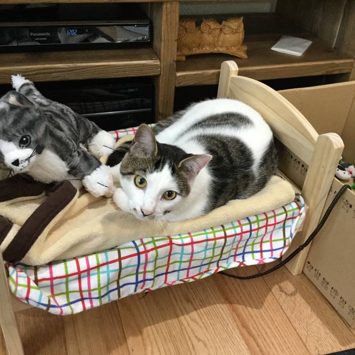 91905f8c 1d36 4a81 8866 5df15877346d