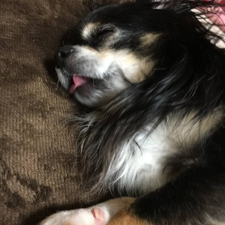 9190a5ce 8fee 4b0f a361 29f543867da7