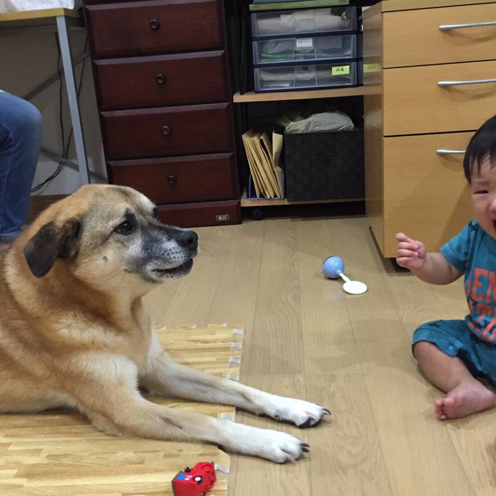 9190a6ce 125e 4348 93cc c46d69150210