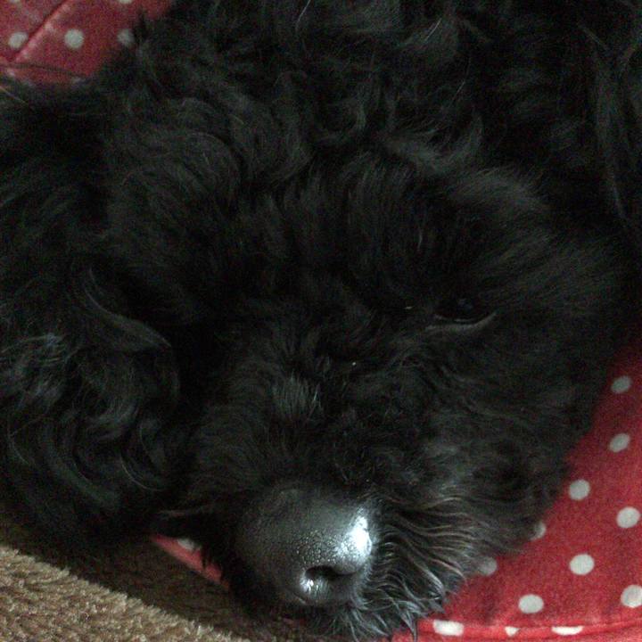 9190e9f6 d509 4610 b750 e0329a59f517