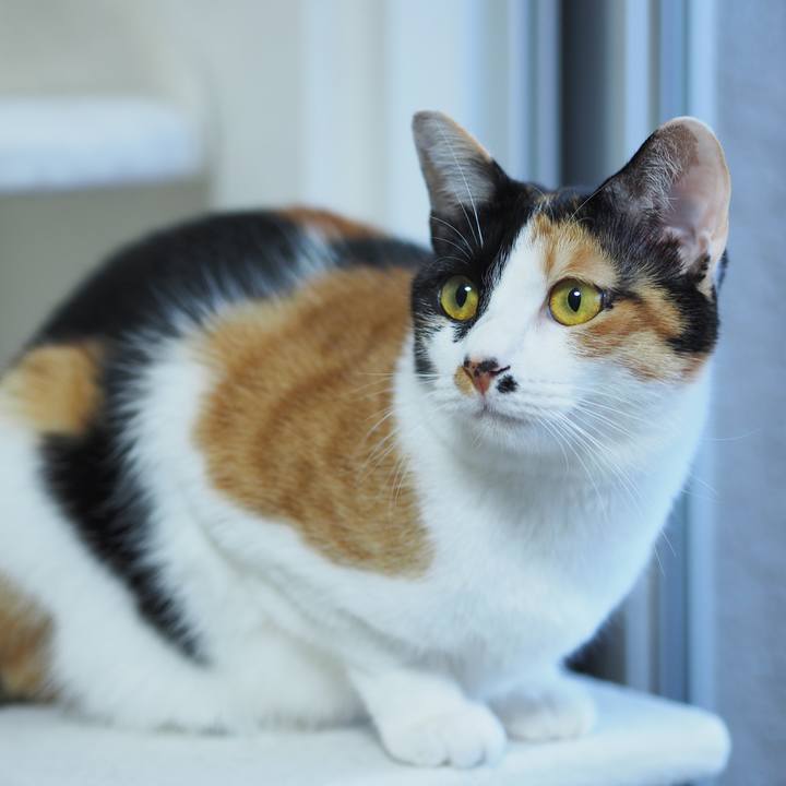 91915f76 6e99 446d 8111 b7b41cfd04cc