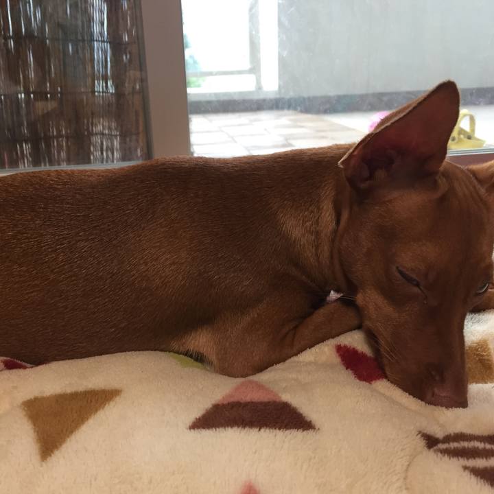 919216c5 3d37 4787 8eb1 b6f83ac60eca