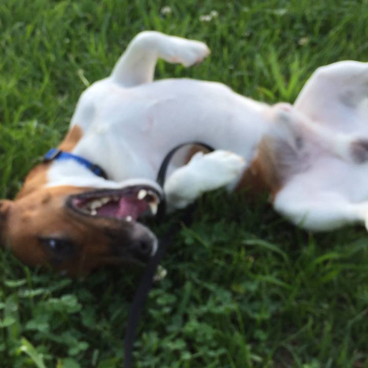 9192615b e012 4e16 a4b7 d2836ced8335