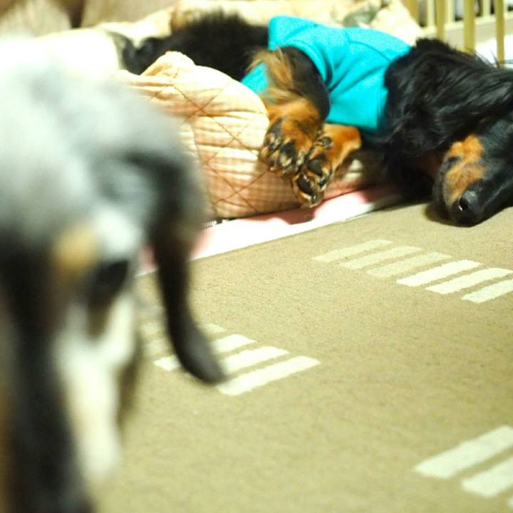 919520d0 3b36 4fb7 a575 5ad27deeb0b3