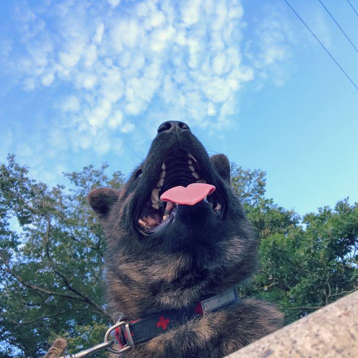 9195b3b7 941a 4357 bc03 1a46a0202556