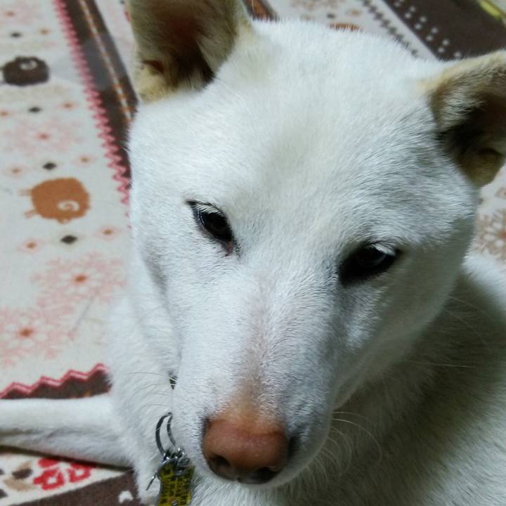 9195b5be 0bf1 4084 8d40 02f761c10236