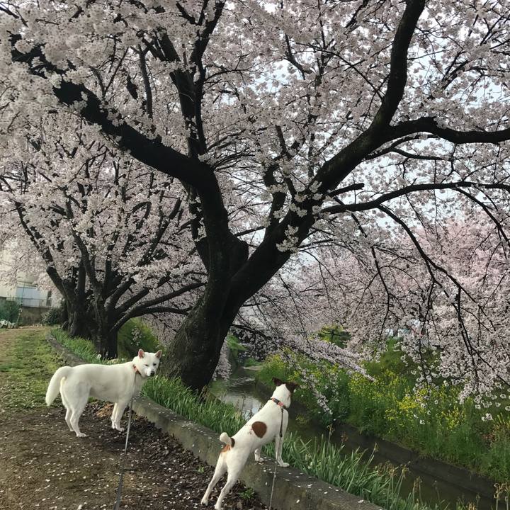 9195d6b5 06b2 4a7c 9b09 5279a2fb8dfb