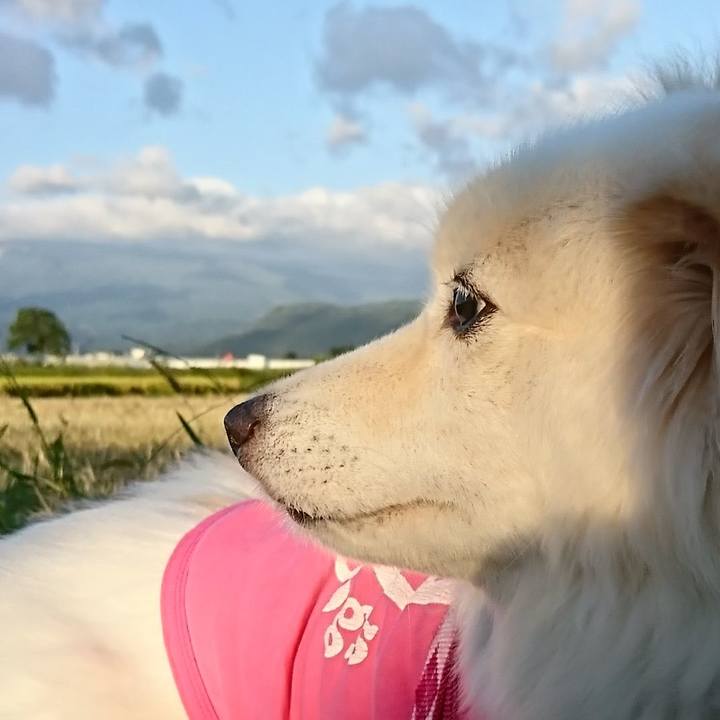 9196de09 c0ff 404e ae73 a3ffb2a268c6