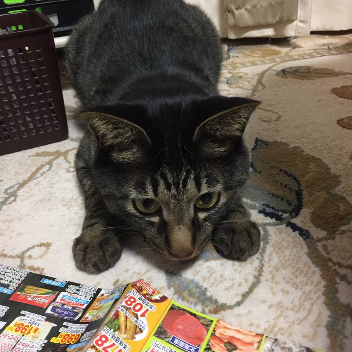 9197d2fa 8217 4b2d b489 bb0351d3c075