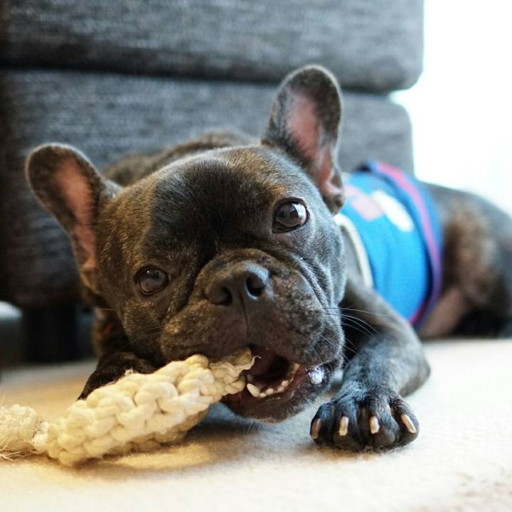 91980bab 2fd1 4012 81d9 5964309c3443