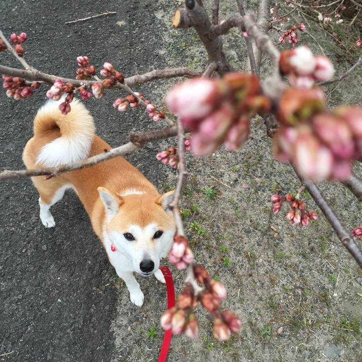 91983911 9b9f 48ae a95f 7bb33a20d984