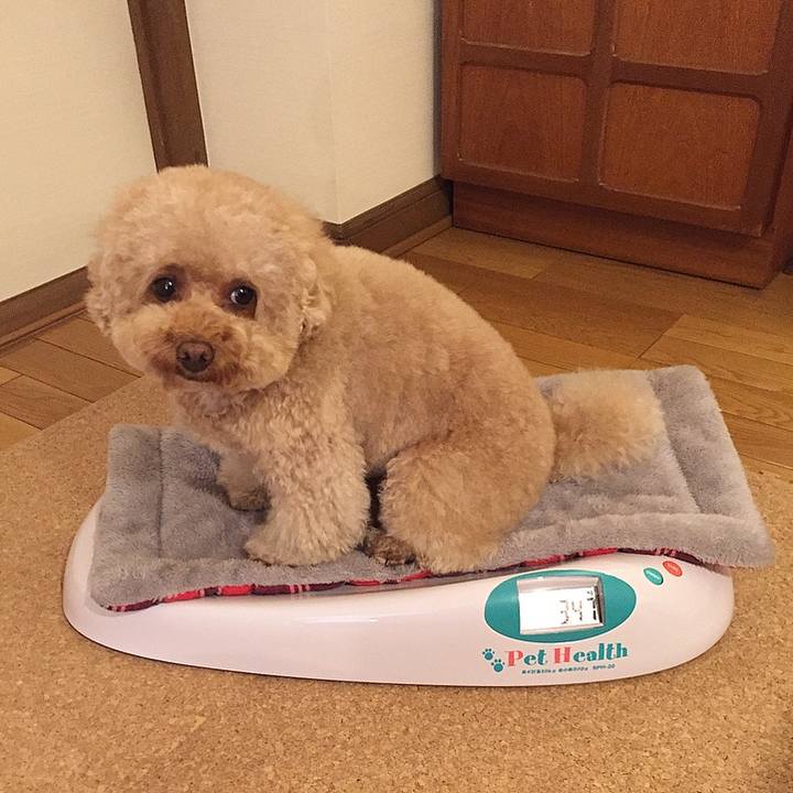 91986c56 8c9f 4a98 89a7 eca8241869b6