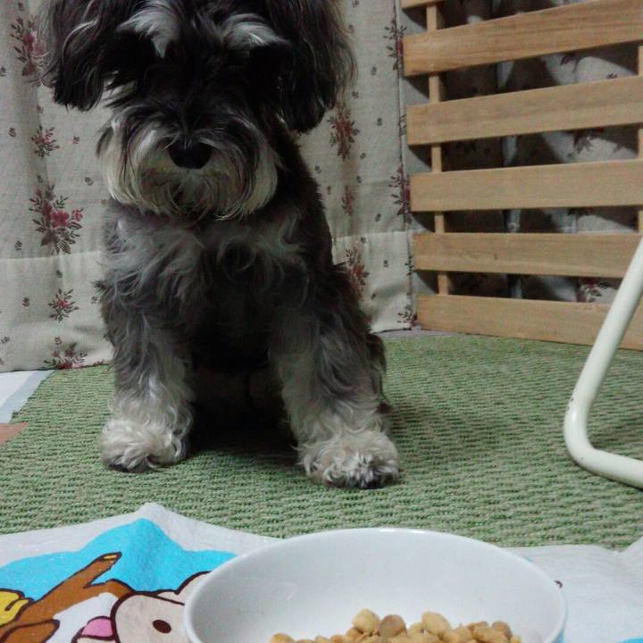 9198bbe7 2474 40bf 8f73 eeda08f1fba1