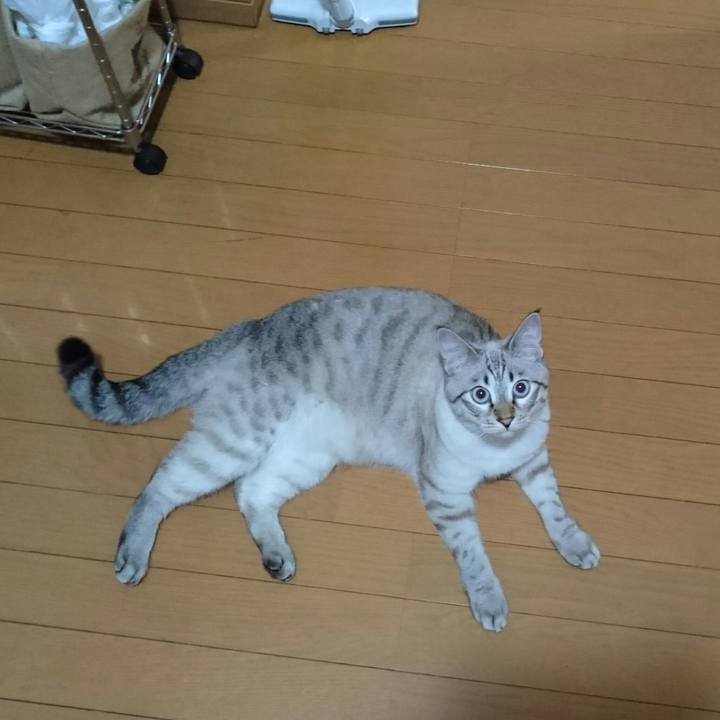 9198c7ef 007b 4318 b90a 8f5a04d0dbdd