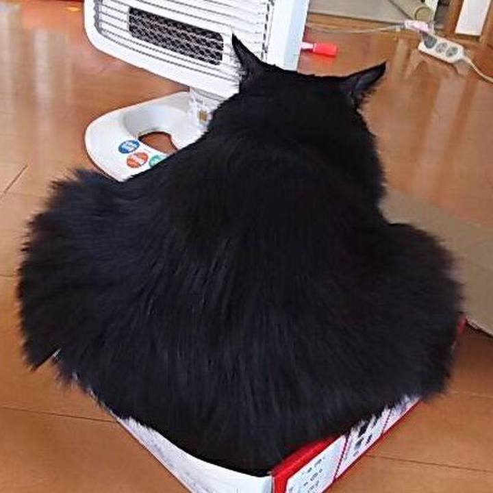 9198ca78 3ba2 4e14 aea9 c5a9bb7f4b31