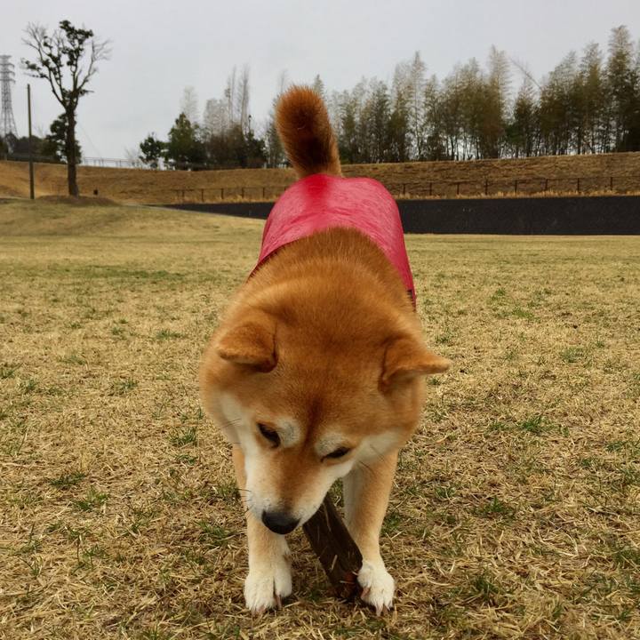 9198ea41 73a9 4180 adf2 16968450a482