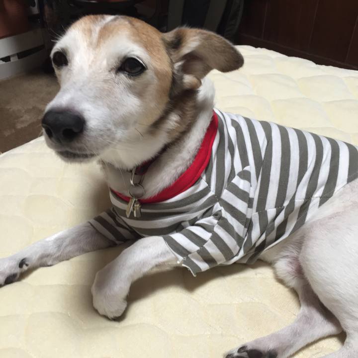 919938b8 72d6 4780 ad1d 13b08a8a7207