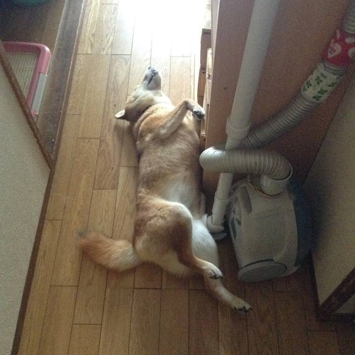 91996943 9055 4a7e 8445 c87226d82b4a