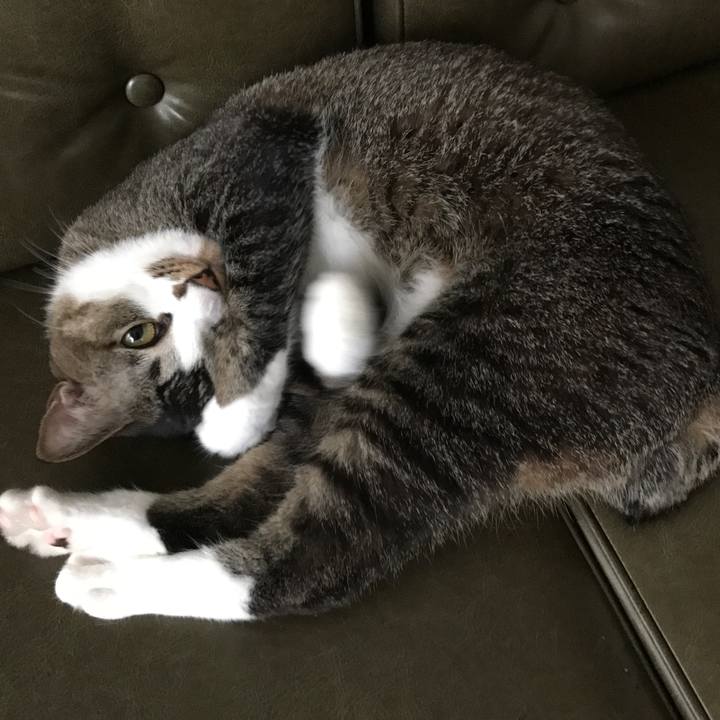 9199db75 054c 4856 91d9 01bb7b463032