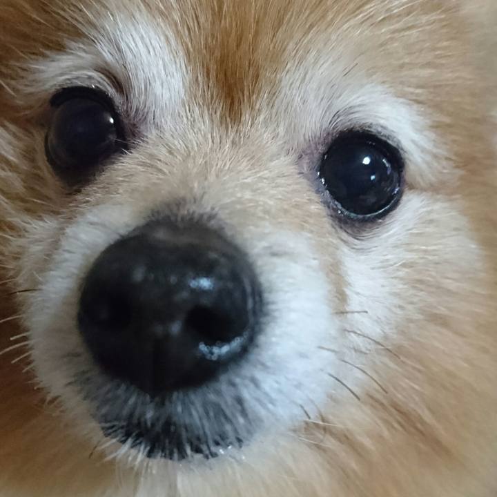 919abc83 c70b 4dca 99ad 13cb38551795