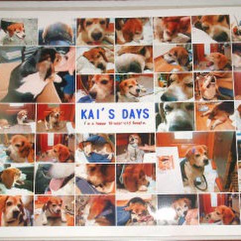 919acb2a 8b2b 449c ba36 f3f688a92ec5