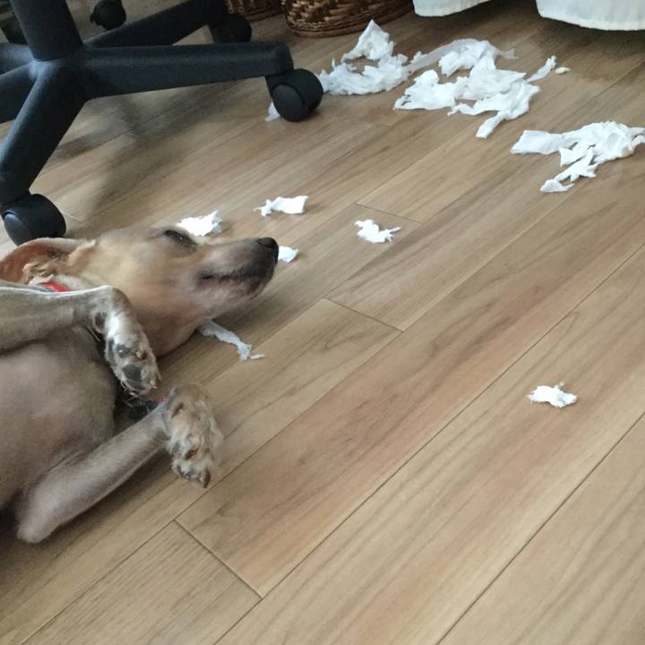 919ad669 c290 434e 9b65 da2d789d60b3