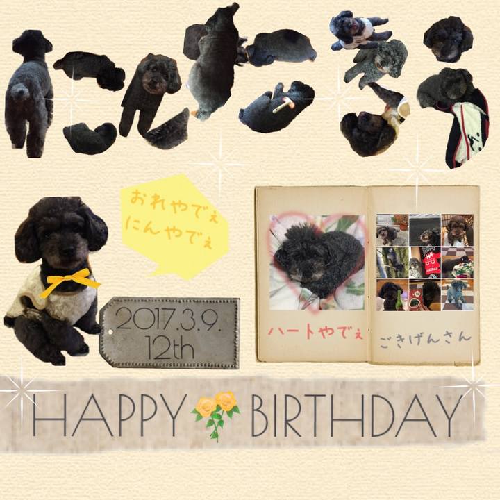 919b9fb1 48ba 47ba b8ac 05ccf1a4c3d8