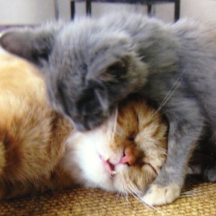 919bcf6a 0d87 430a afea 46df9e4c3348