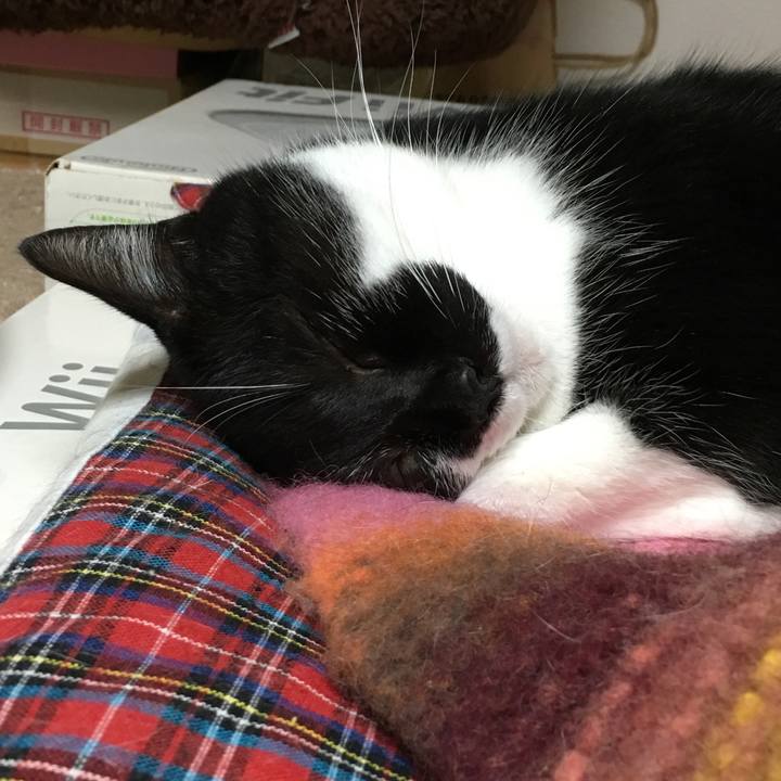 919bf2c8 a0ba 4afe 9df0 143e356343ea