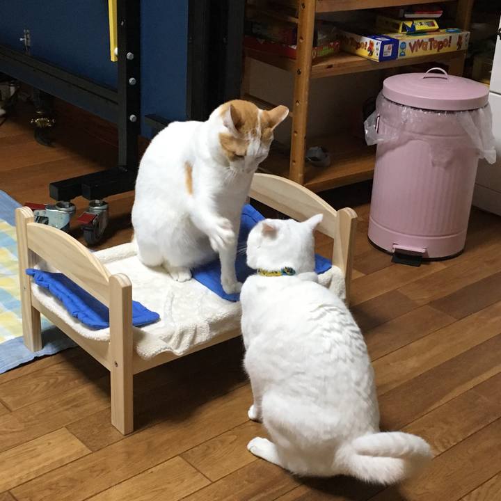 919c0546 2ccb 45b9 9840 0e1a13ab544b