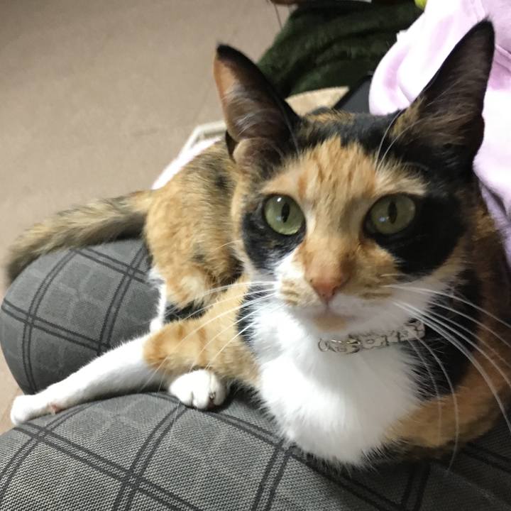 919c29e4 c6ca 42fb b39f 80b81e84ce1b