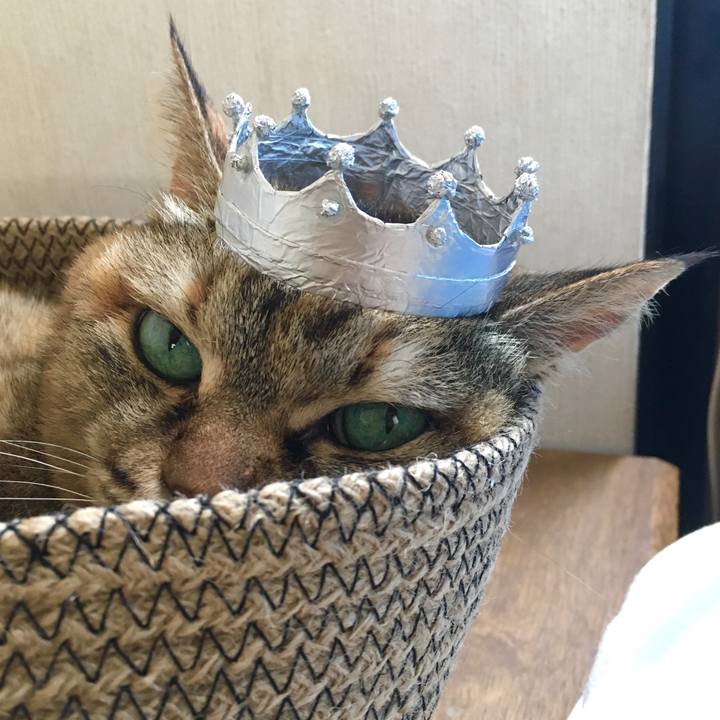 919c3206 47c9 4a38 96d4 59c0c11d2131