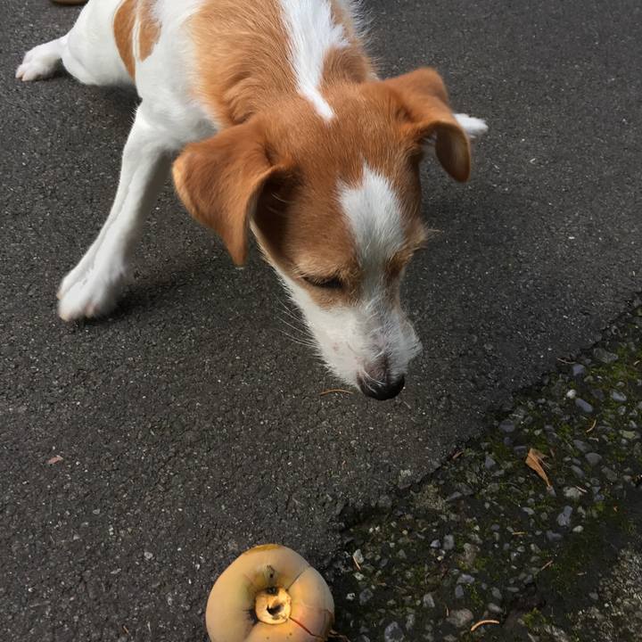 919cbd85 927c 474b a8a6 b4468f6ed138