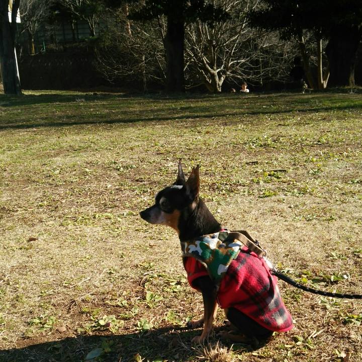 919d8216 2f83 4323 9108 dfdee9db4c5c