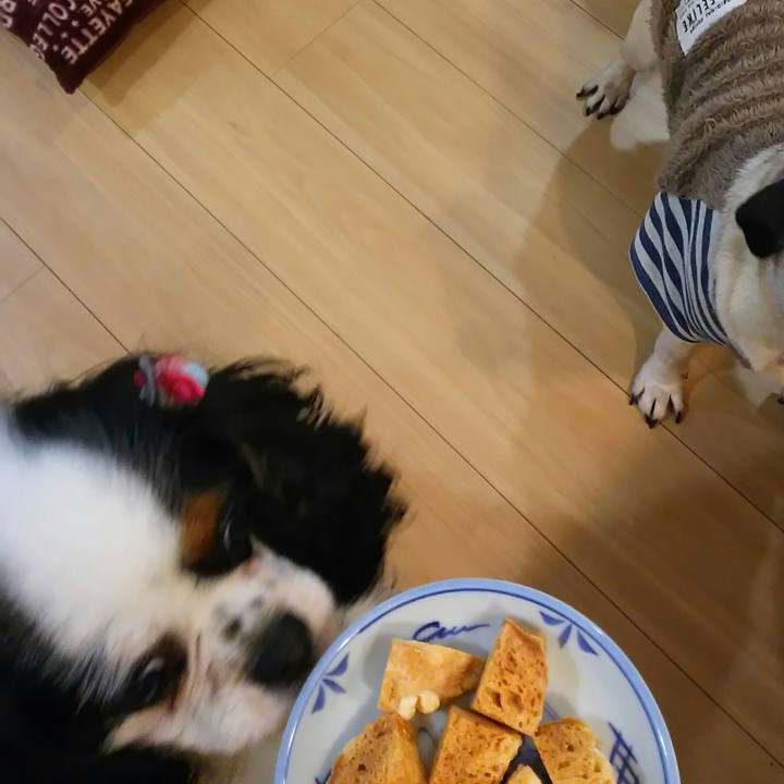 919ddd3f bd27 422c 80f8 d555cfdbe4e3