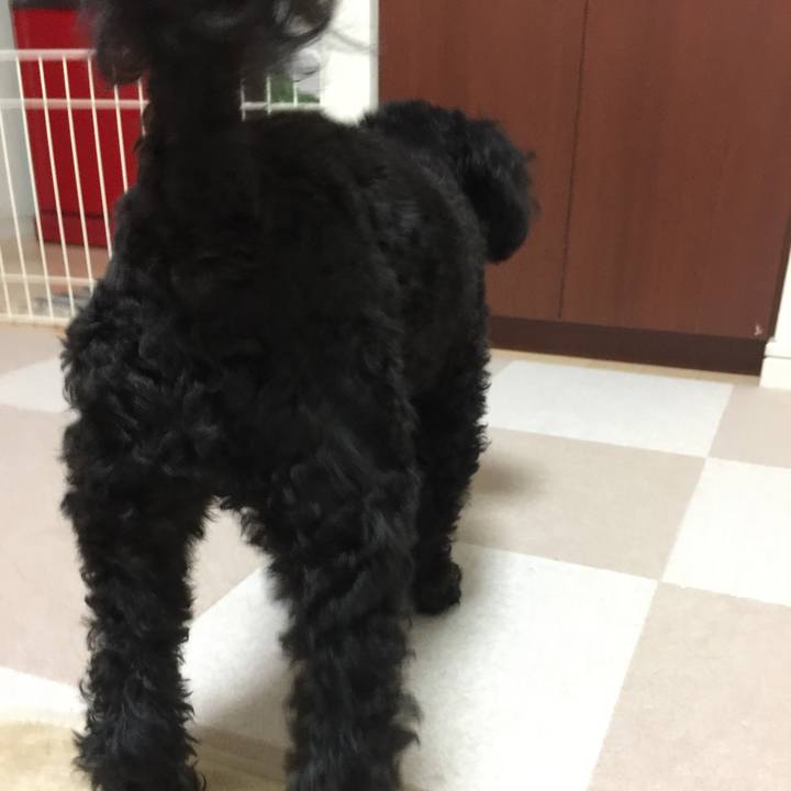 919e3edb 4566 41bd 9229 53f04416f377