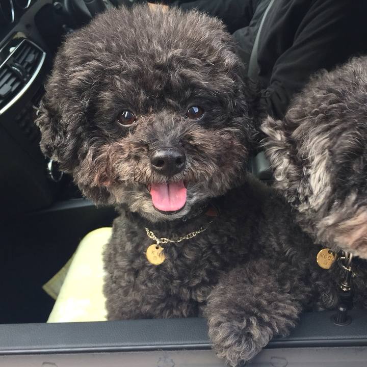 919e4c4d cea6 43c1 a7b0 ae0c5cc4cd86