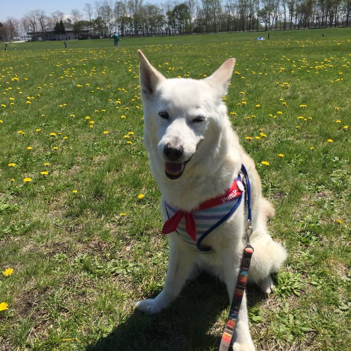 919e5c21 77db 4aca 9716 fd371250393f