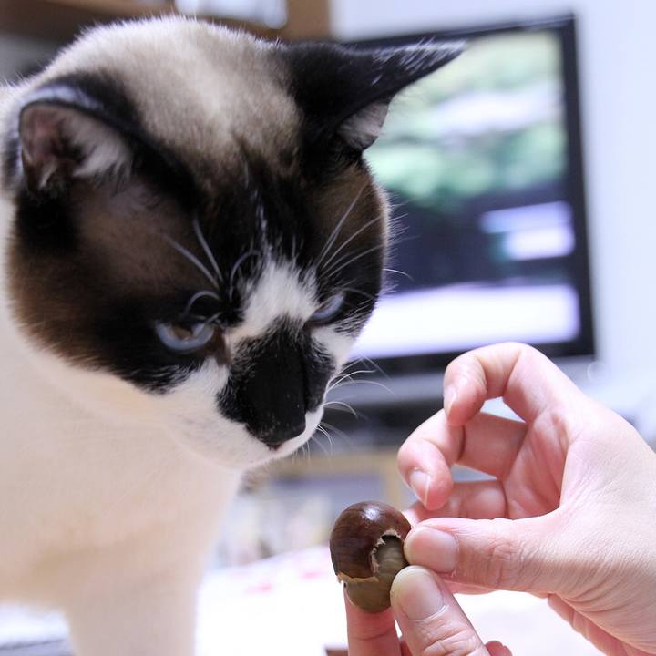 919e6c84 4f61 40fd 8833 95a1438cc1fa