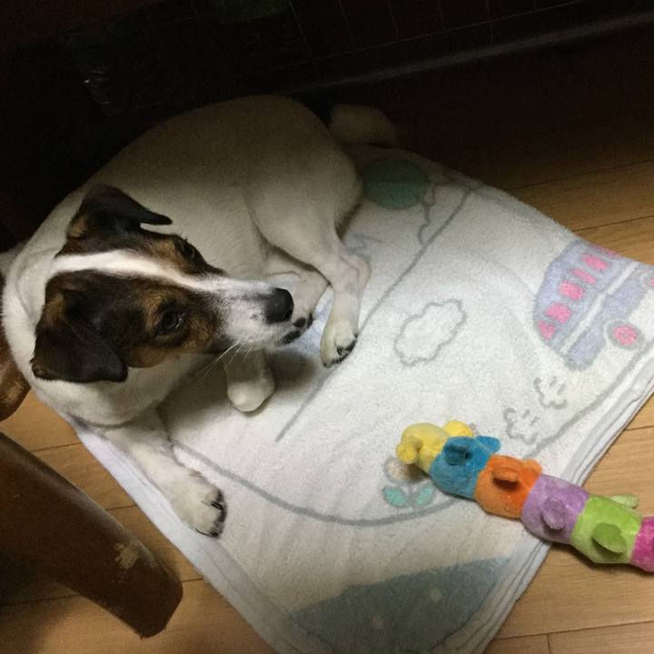 919fee9a 3643 4ff4 b003 9001929b885e