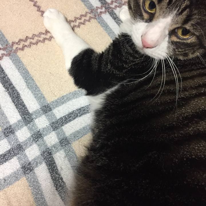 919ff886 f97e 4899 9514 f9b0f55f1f36